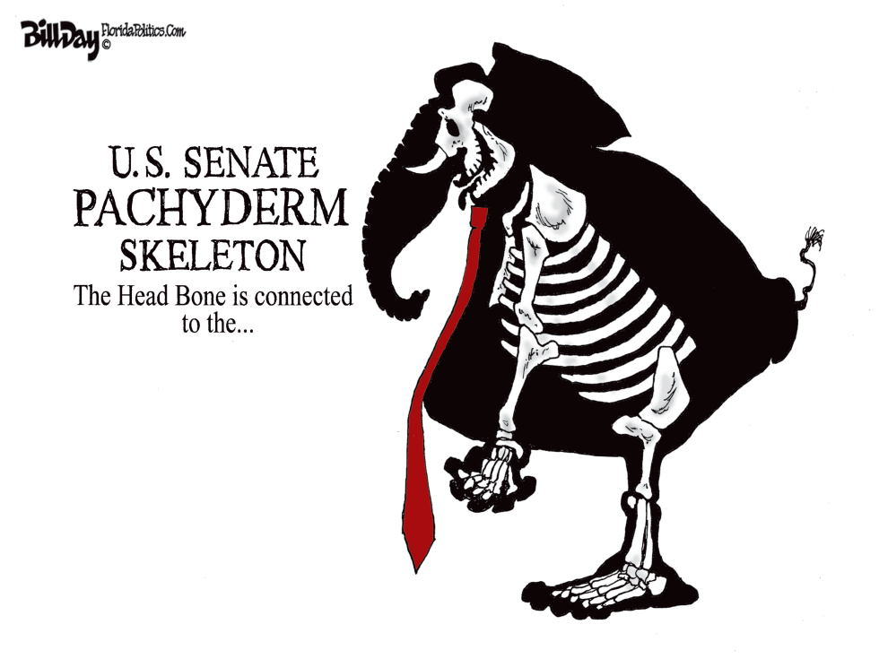 Pachyderm Skeleton