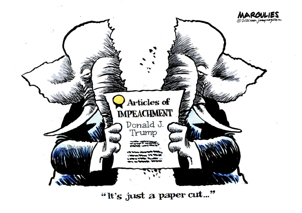 Trump Second Impeachment and Republicans