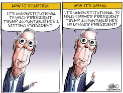 MITCH PLEASE by Dave Whamond