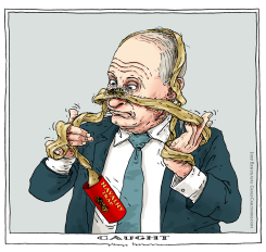 INSECT TRAP by Joep Bertrams