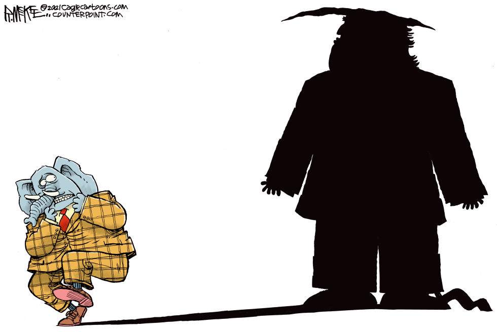 GOP Shadow