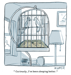 BIDEN BIRDS by Peter Kuper