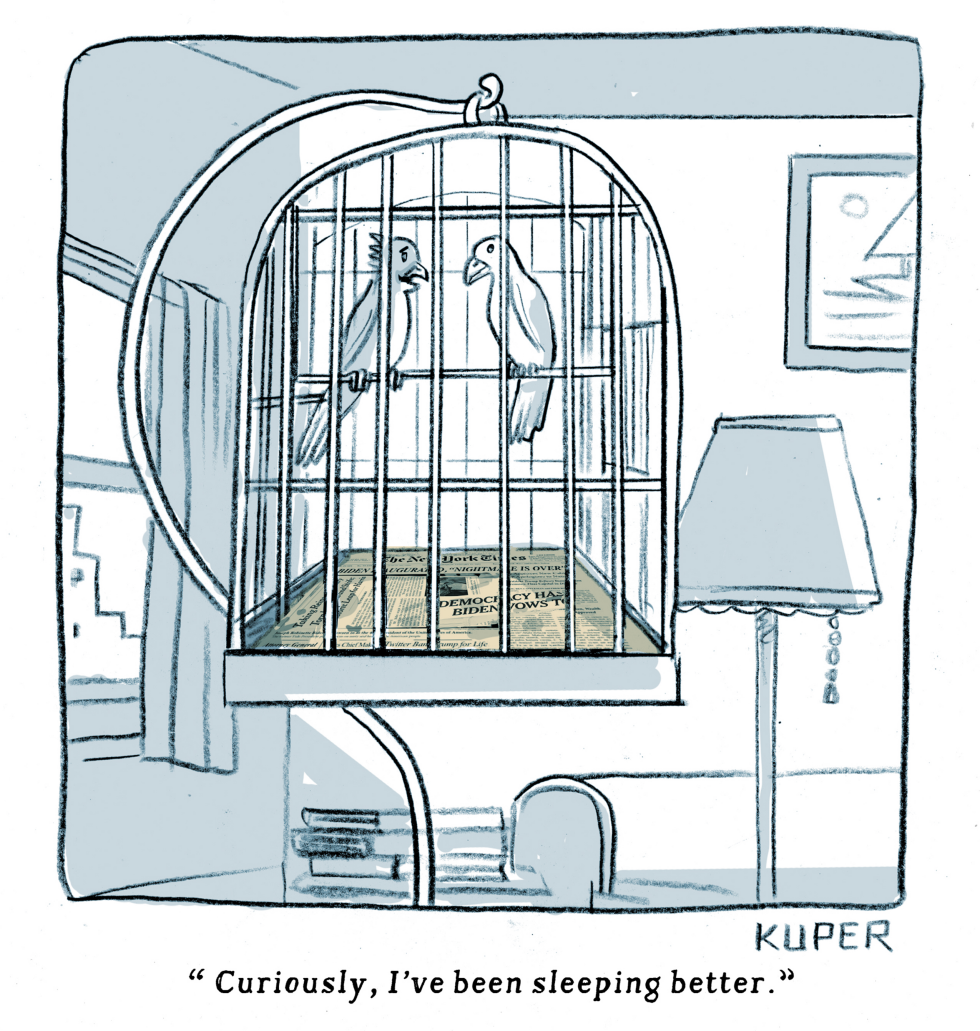 Biden Birds