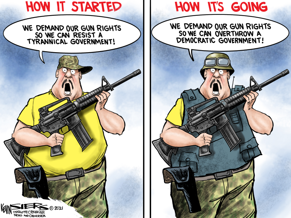 Gun Rights Amended