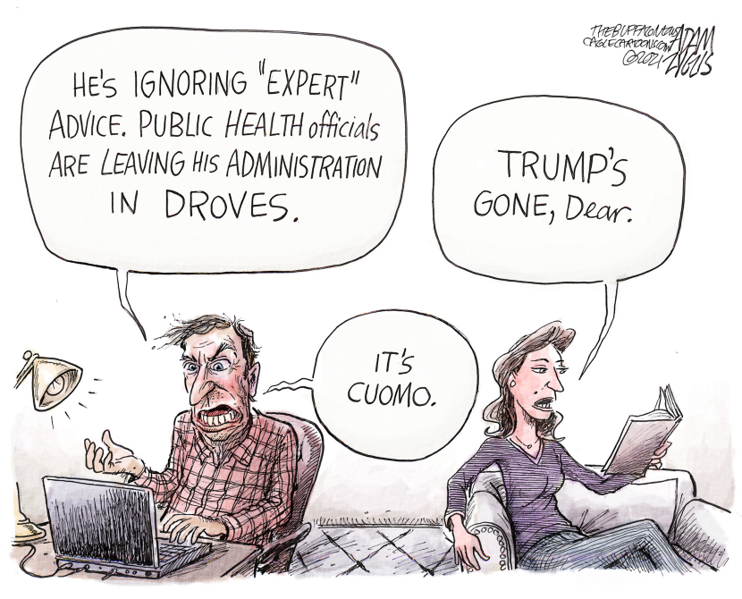 NY State Expert Advice