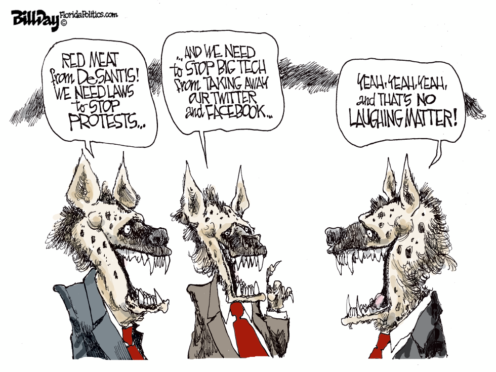 Florida Hyenas