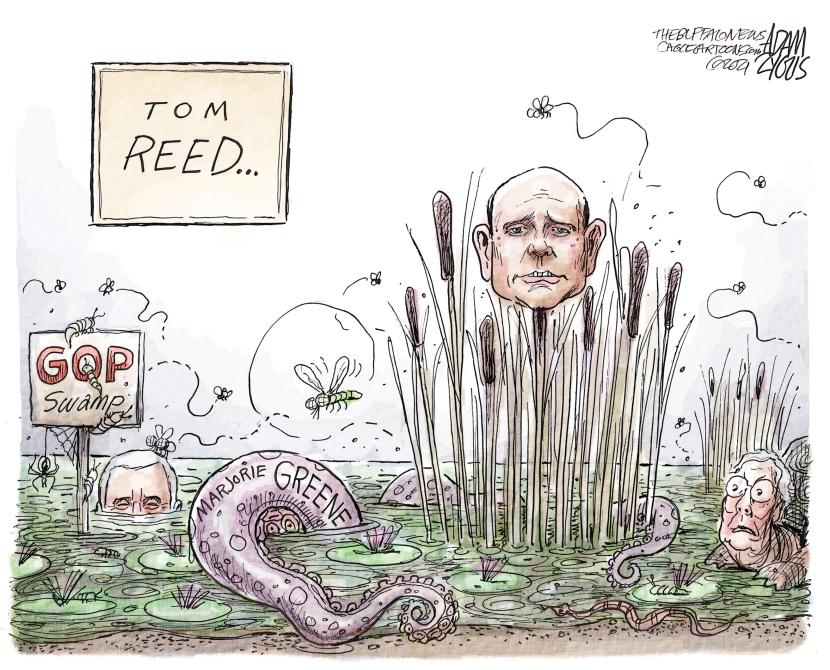 Swamp Reed
