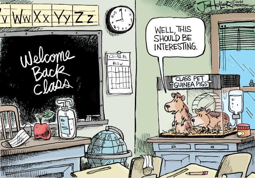 Back to School