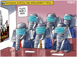 IMPEACHMENT UNMASKED by Dave Whamond