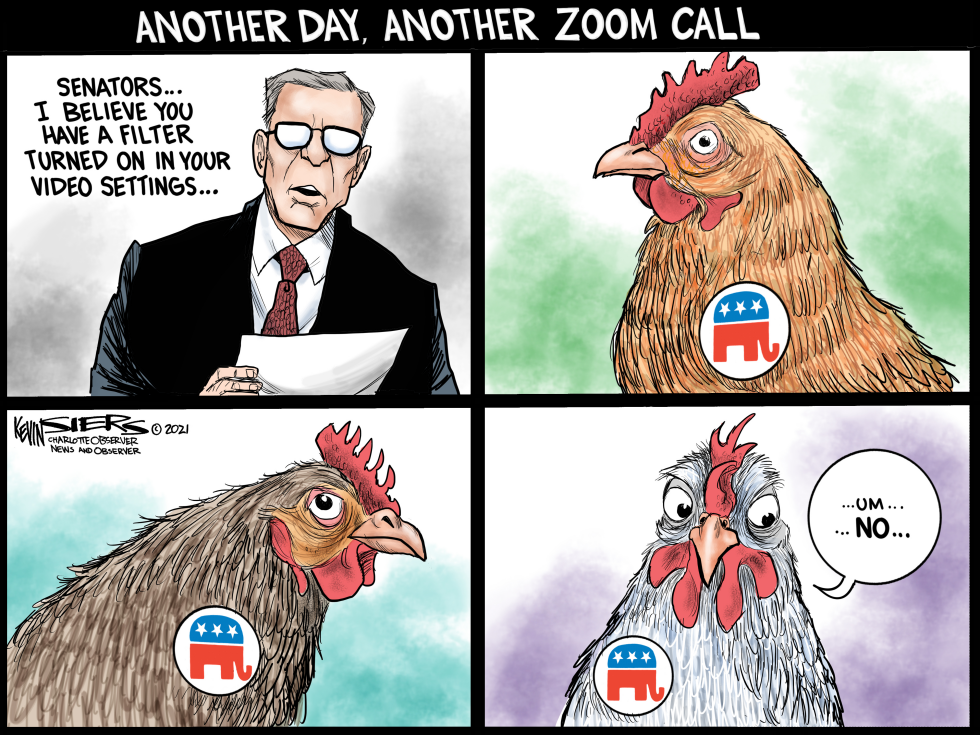 Senate Zoom Filters