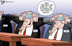 HARD TO WATCH by Bruce Plante