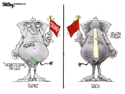 SENATE ANATOMY by Bill Day