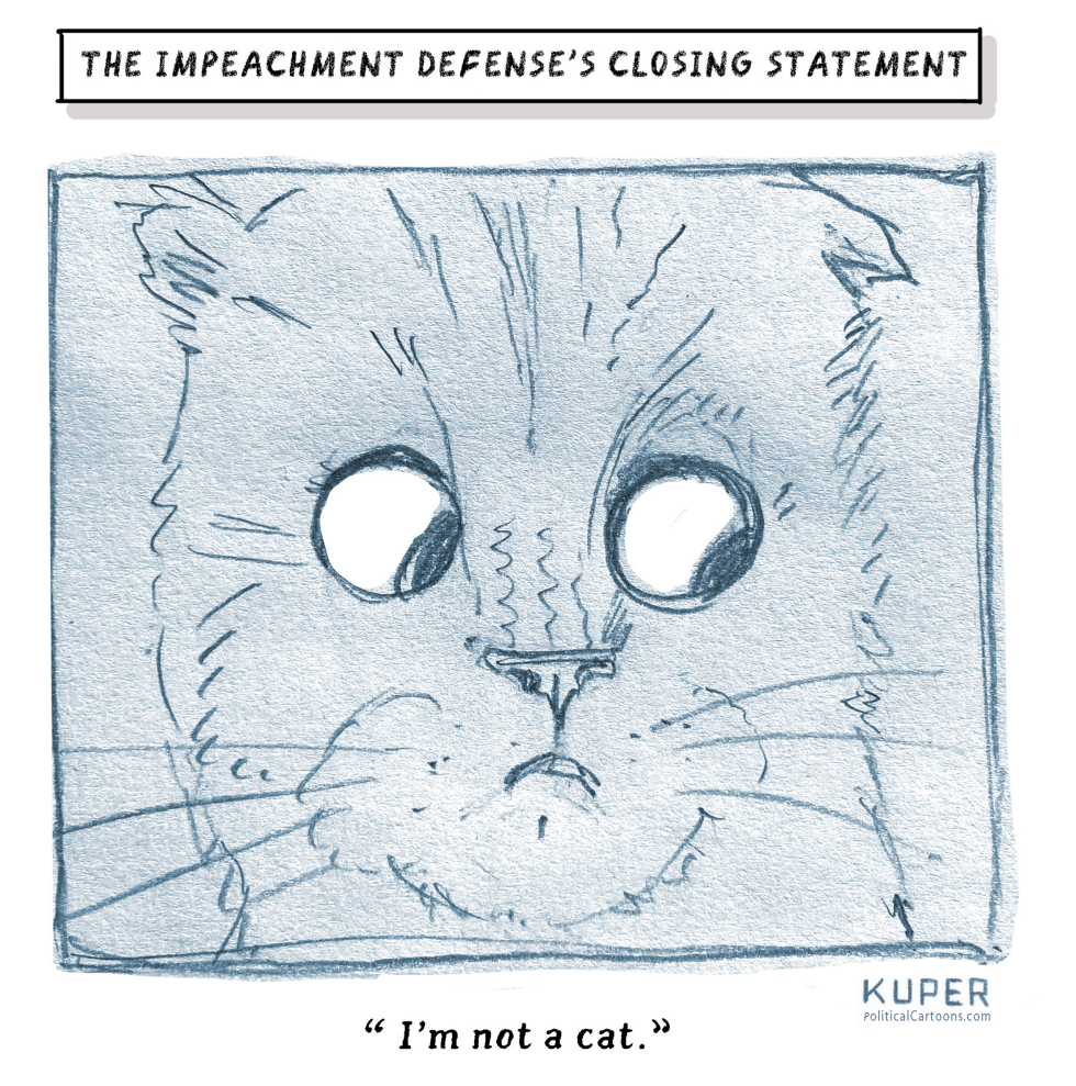 Impeachment defense's Closing Statement