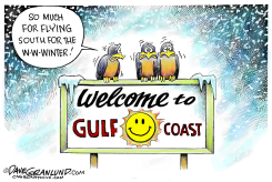FREEZING SOUTH by Dave Granlund
