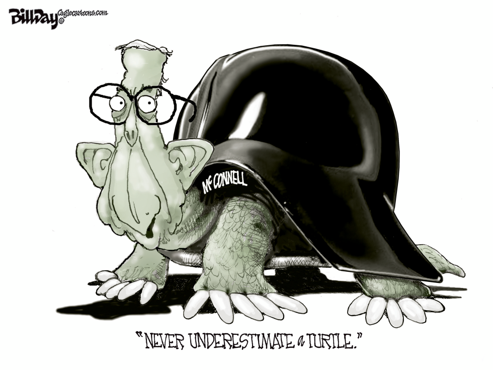 Turtle McConnell