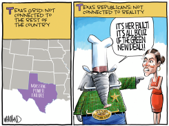 TEXAS POWER FAILURE by Dave Whamond