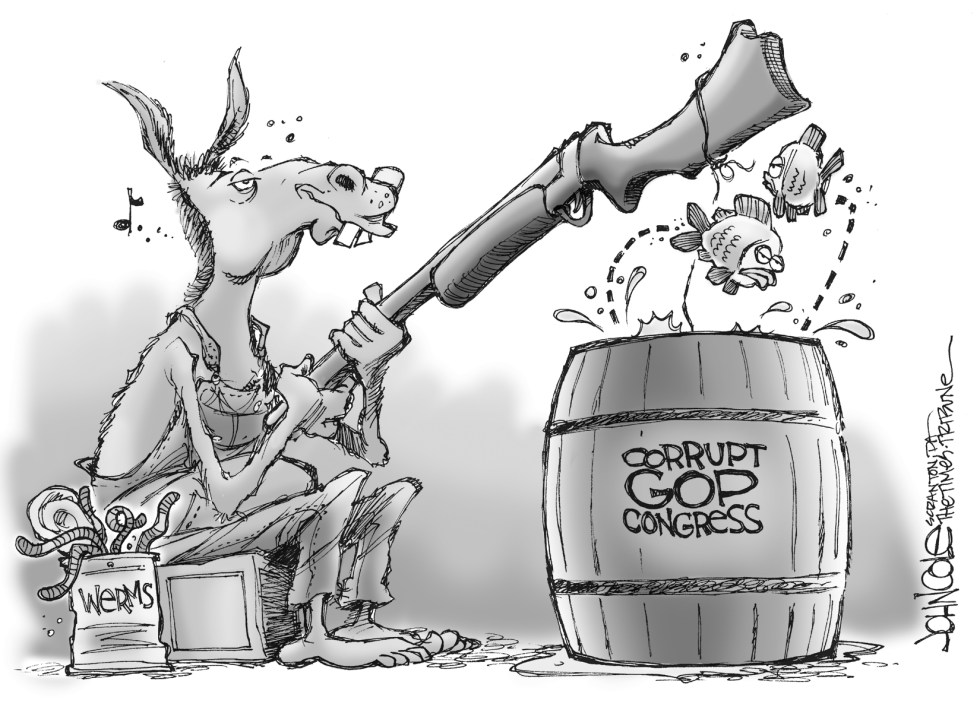 Democratic strategy