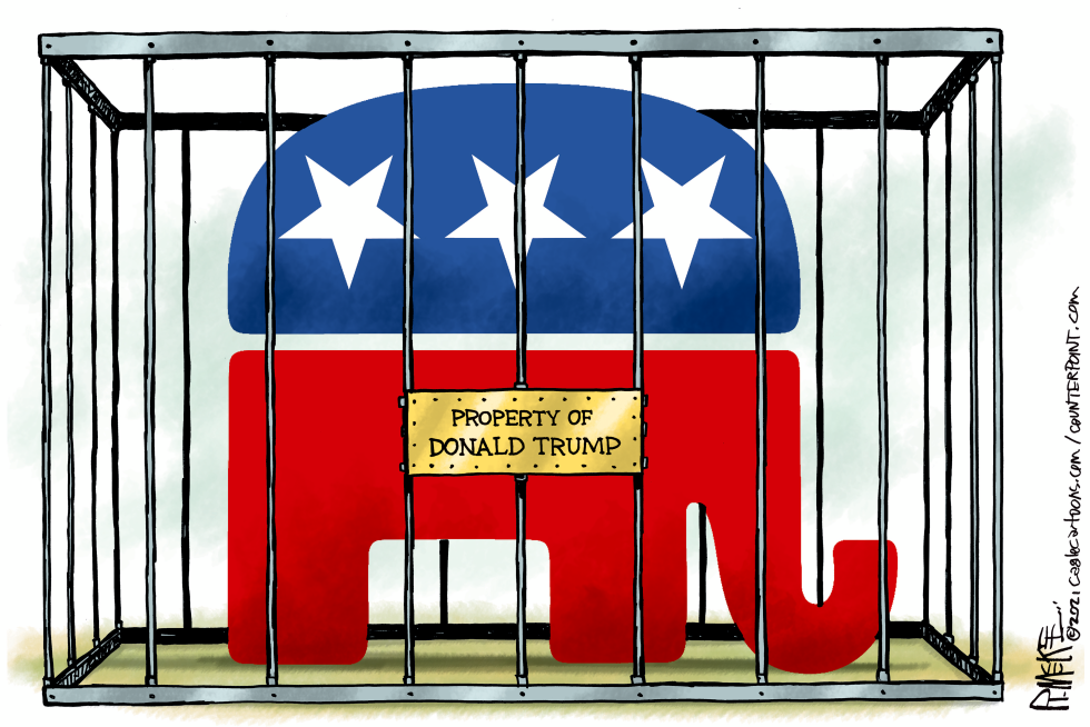 Caged Elephant