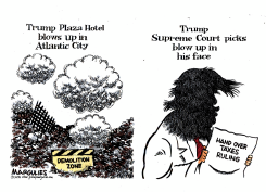 SUPREME COURT TRUMP TAX RULING by Jimmy Margulies