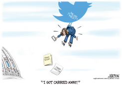 NEERA TANDEN MEAN TWEETS by R.J. Matson