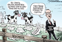 RON JOHNSON by Joe Heller