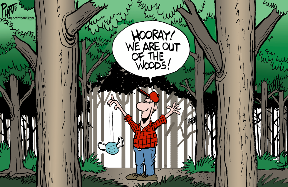 Out of the woods?