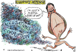 CUOMO'S DEFENSE by Randall Enos