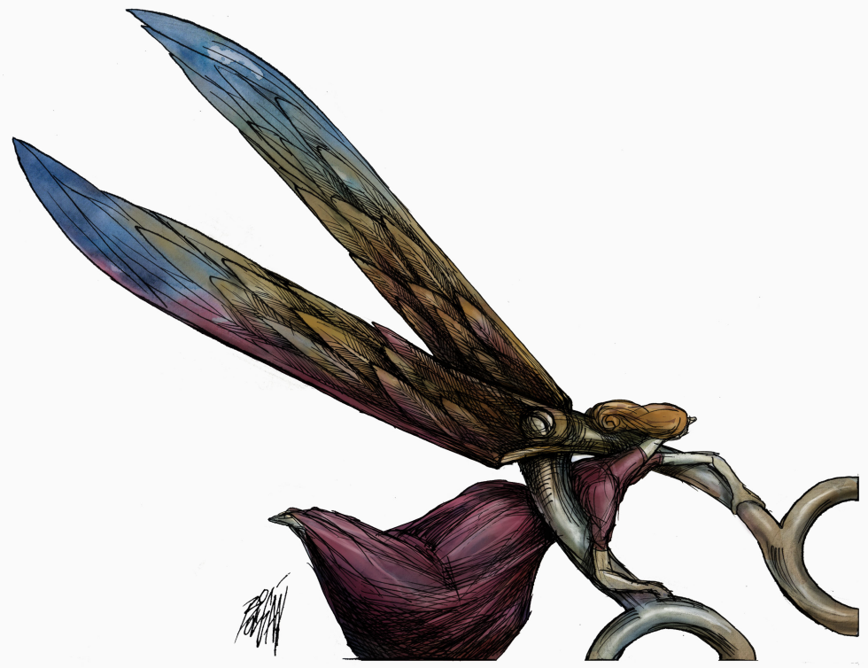WOMEN'S WINGS