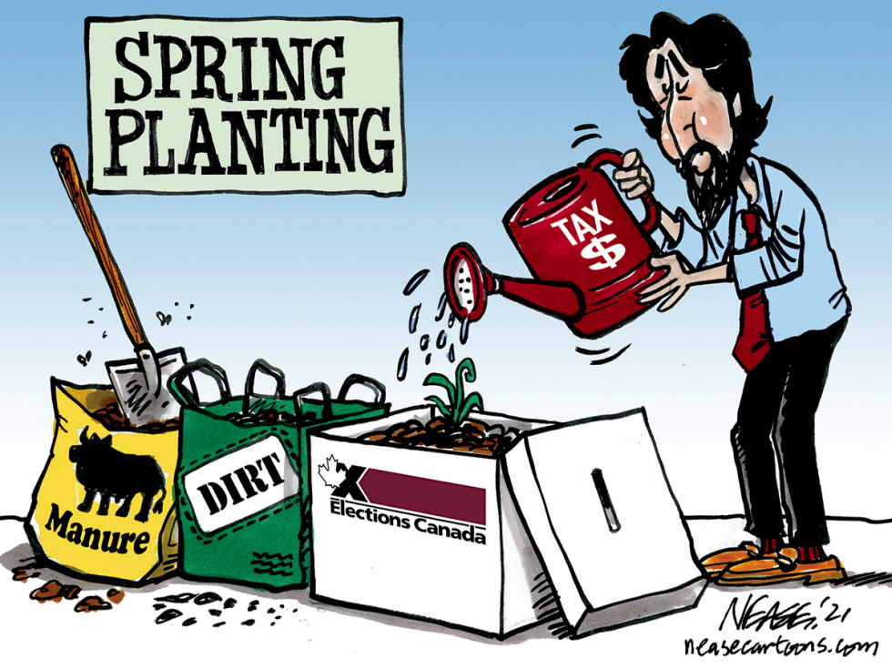 Planting
