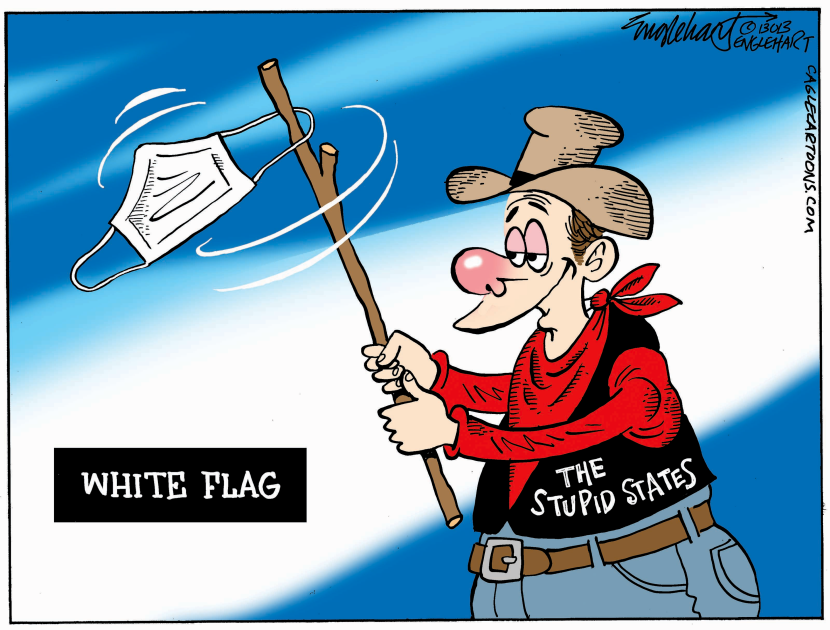 The Stupid States