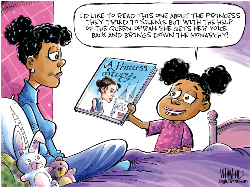 A Princess Story