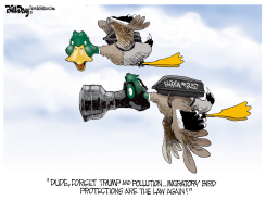FOR THE BIRDS IN A GOOD WAY by Bill Day