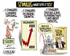 STIMULUS EXPLAINER by John Cole