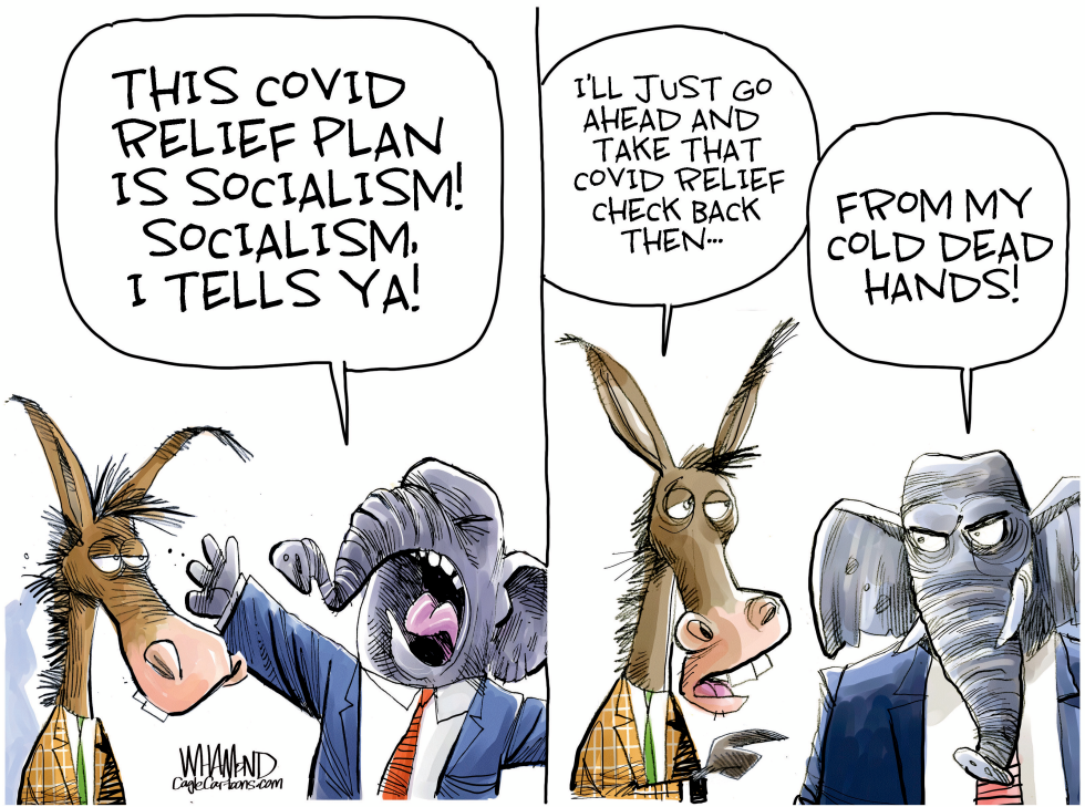 Socialism by any other name
