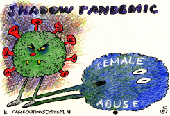 THE SHADOW PANDEMIC by Randall Enos