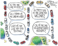 AMERICA IN LINE by John Darkow
