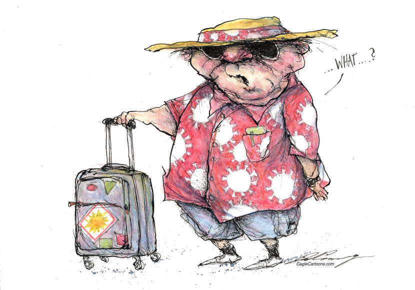COVID TRAVELLER