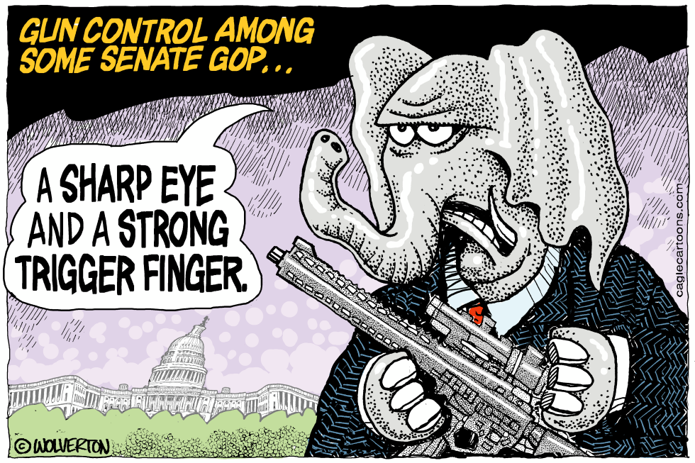 GOP Gun Control