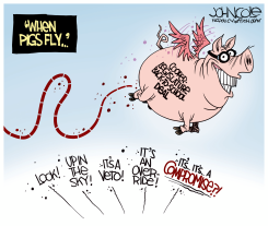 LOCAL NC - COMPROMISE ON SCHOOLS by John Cole