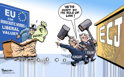 POLAND AND HUNGARY AT ECJ by Paresh Nath