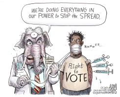 VOTING RIGHTS by Adam Zyglis