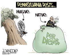 LOCAL PA - LANTERNFLIES AND LEGISLATORS by John Cole