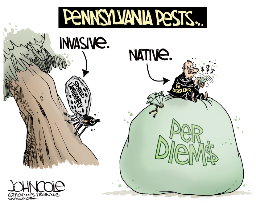 LOCAL PA - Lanternflies and legislators