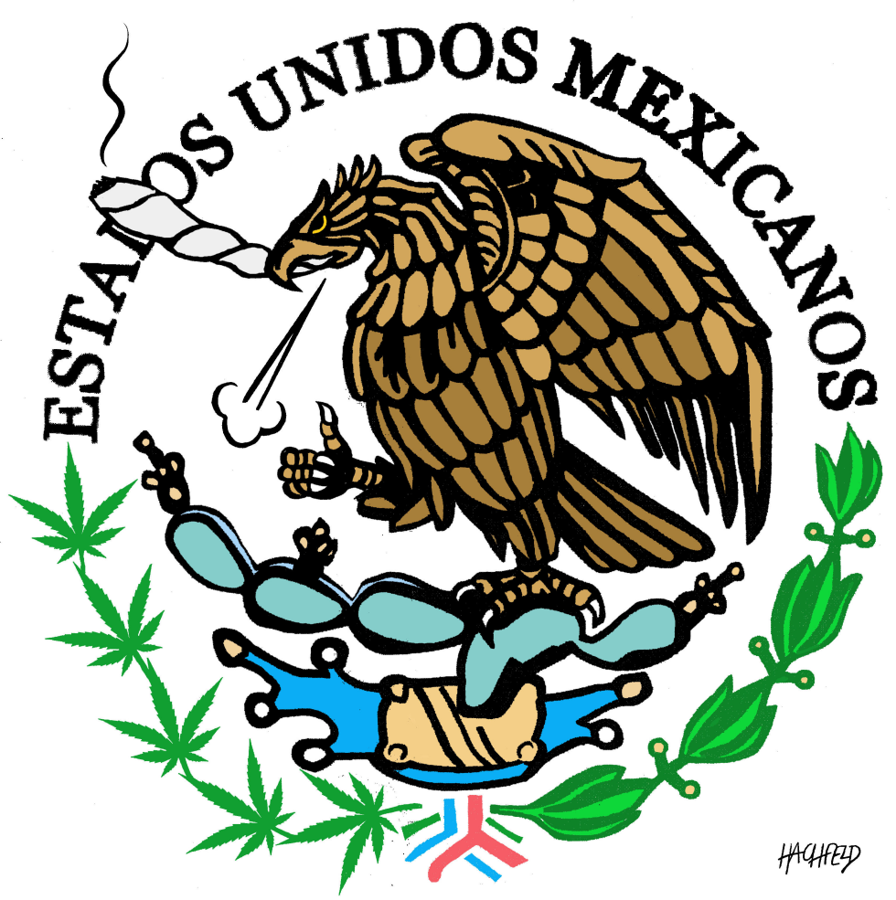 Mexico legalizes cannabis