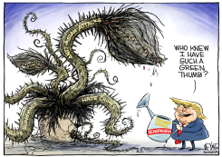 TRUMP'S GREEN THUMB by Christopher Weyant