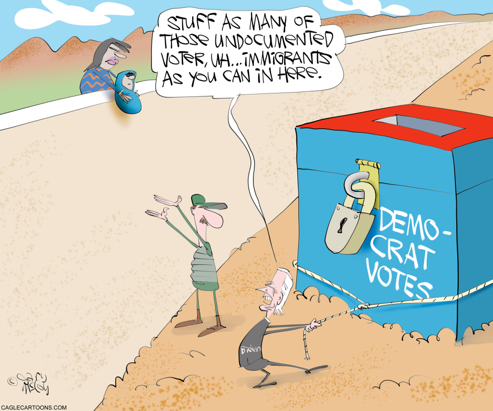 Biden's Immigrant Voters