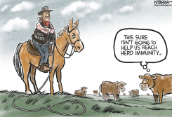 HERD IMMUNITY by Jeff Koterba