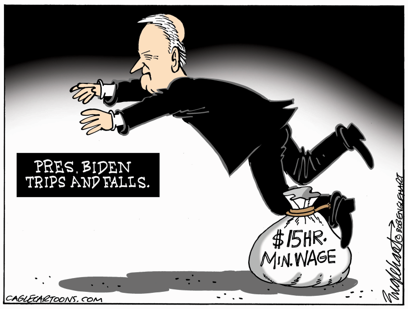Biden Falls Boarding Air Force 1