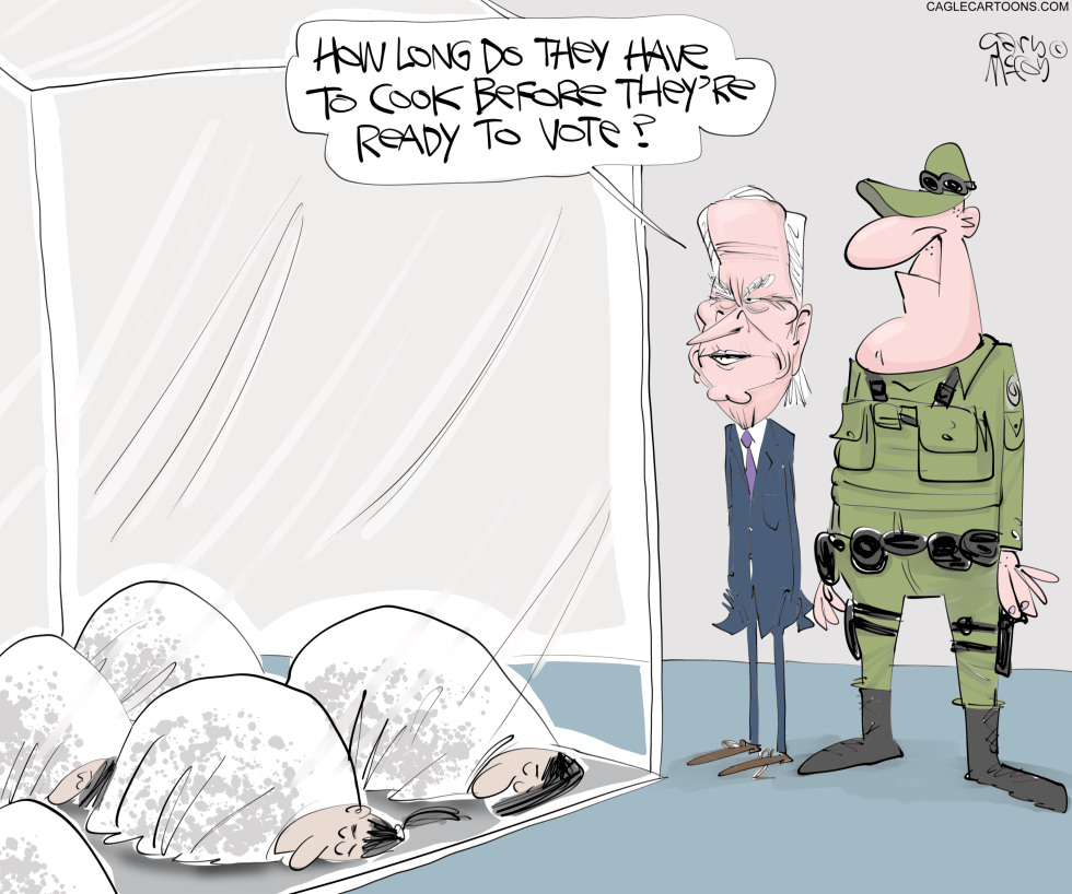Biden's Immigrant Voters