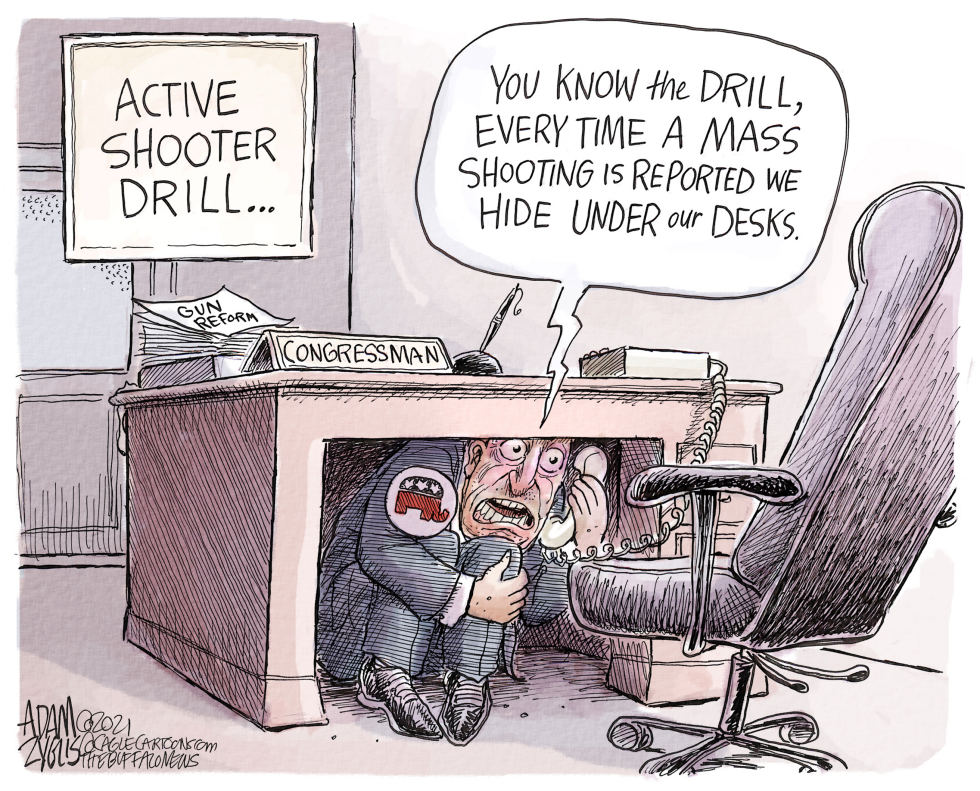 Gun reform